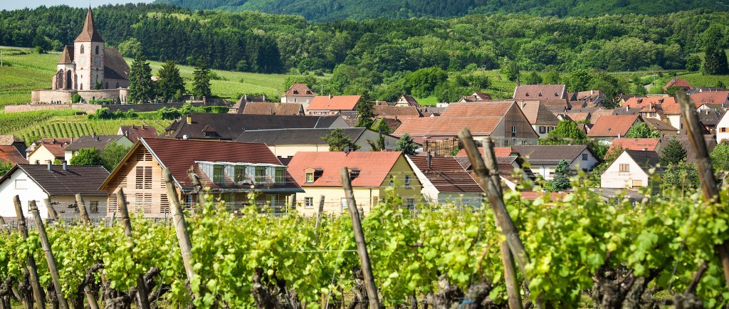 Gite en Alsace, maison vigneronne
