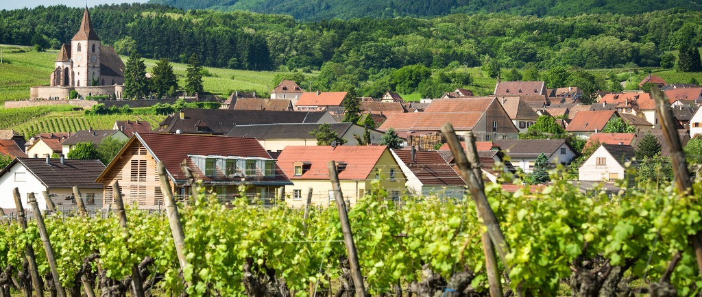 Gite en Alsace, maison vigneronne Gite en Alsace, maison vigneronne