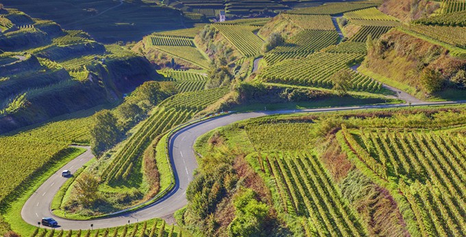 Randonnée pédestre en alsace